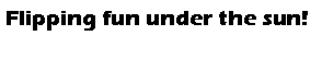 Text Box: Flipping fun under the sun!
